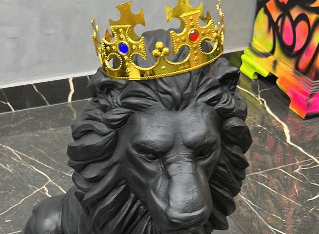 Billionaire Lion